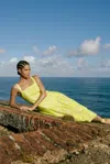 Shop Marie Oliver Dixon Dress In Honeysuckle