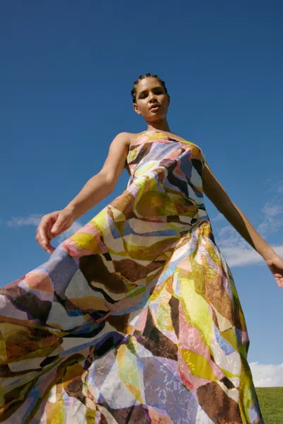 Marie Oliver Levine Dress In Stained Glass
