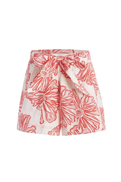 Marie Oliver Tedi Shorts In Electra In Multi