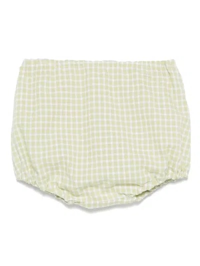 Mariella Ferrari Babies' Checked Bloomers In Green