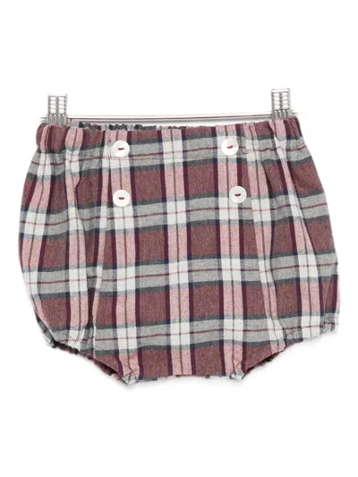 Mariella Ferrari Babies' Plaid Button Shorts In Brown