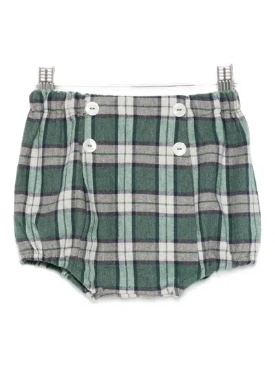 Mariella Ferrari Babies' Plaid Button Shorts In Green