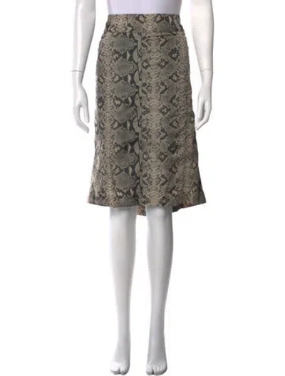 Pre-owned Marina Rinaldi Animal Print Midi Length Skirt In Multicolor