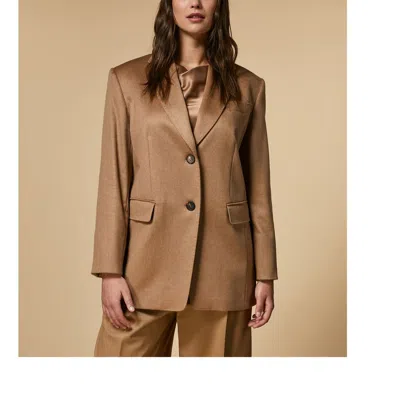 Marina Rinaldi Chiara In Brown