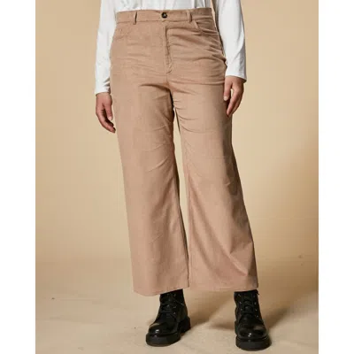 Marina Rinaldi Ramino In Brown