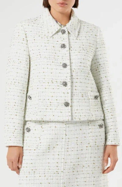 Marina Rinaldi Trionfo Tweed Jacket In Green