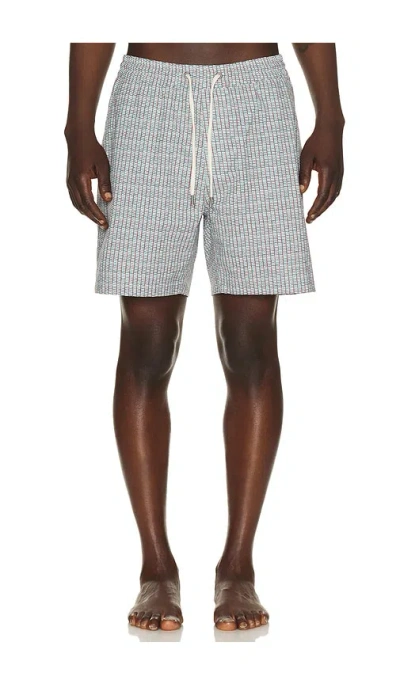 Marine Layer 6 Line Sport & Swim Shorts In Gray