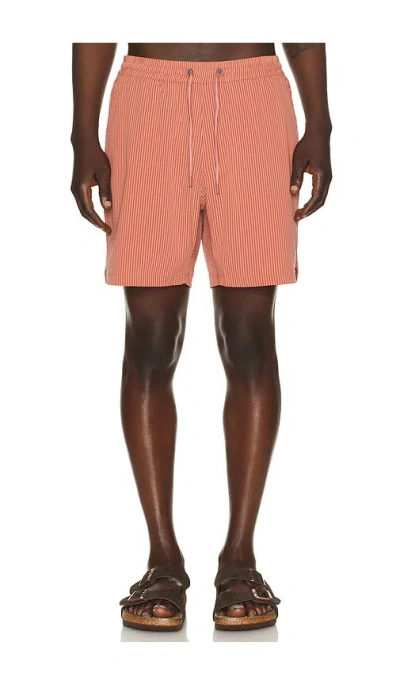 Marine Layer 6 Lined Sport & Swim Short In Neutral