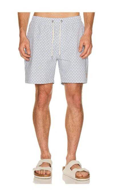 Marine Layer 6 Lined Sport & Swim Shorts