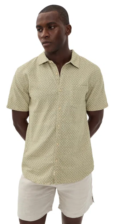Marine Layer Classic Stretch Selvage Shirt Sage Shell Print In Green