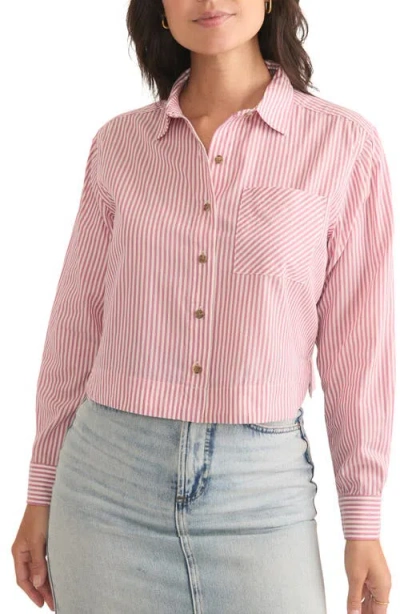 Marine Layer Mila Stripe Straight Hem Crop Button-up Shirt In Rose Stripe