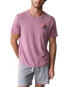 Marine Layer Relaxed Hemp Graphic Tee In Pink