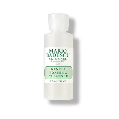 Mario Badescu Gentle Foaming Cleanser