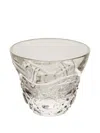 Mario Cioni & C Kawa Cup In Transparent