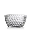 Mario Luca Giusti Lente Salad Bowl In Clear