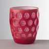 Mario Luca Giusti Acrylic Lente Tumbler Glass In Fuschia