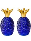 Mario Luca Giusti Caterina & Vittoria Acrylic Salt And Pepper (set Of Two) In Blue