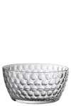 Mario Luca Giusti Lente Salad Bowl In Transparent