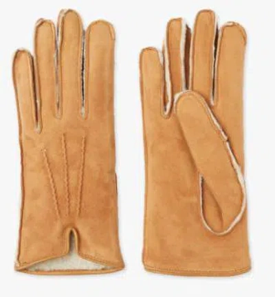 Mario Portolano Suede Gloves In Sand
