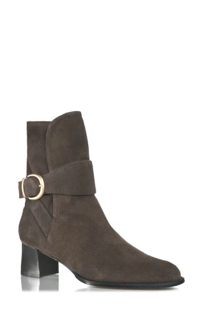 Marion Parke Catherine Buckle Bootie In Chocolate