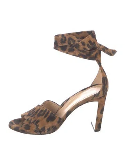 Pre-owned Marion Parke Suede Animal Print Pumps In Brown