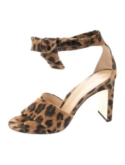 Pre-owned Marion Parke Suede Animal Print Sandals In Brown