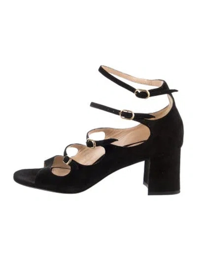 Pre-owned Marion Parke Suede Sandals In Black