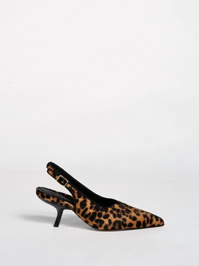 Marion Parke Women's Cynthia Pump In Leopard In Brown