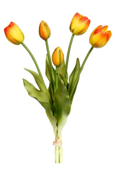 Mark Roberts Blooming Tulip Bunch, Set Of 6 In Multi
