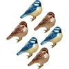 Mark Roberts Bluebird Clip In Multi