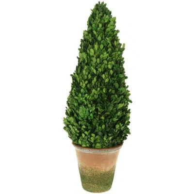 Mark Roberts Boxwood Topiary Cone - 31 Inches In Green