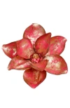 Mark Roberts Christmas Magnolia With Clip, Set Of 12 In Red