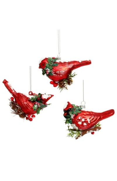 Mark Roberts Elegant Birds Ornament, Set Of 12 In Multi