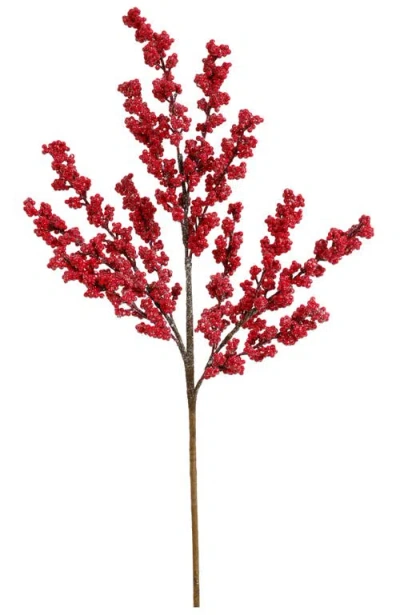 Mark Roberts Frosted Berry Spray, Set Of 6 In Red