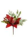 Mark Roberts Frosted Pomegranate Pick, Set Of 6 In Multi