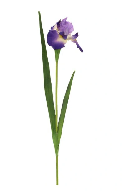 Mark Roberts Iris, Set Of 12 In Multi
