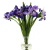 Mark Roberts Iris, Set Of 12 In Blue