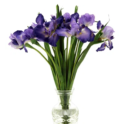 Mark Roberts Iris Stem, Set Of 12 In Blue