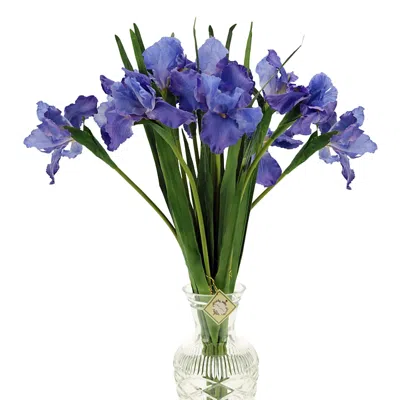 Mark Roberts Iris Stem, Set Of 12 In Blue