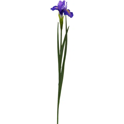 Mark Roberts Iris Stem, Set Of 12 In Multi