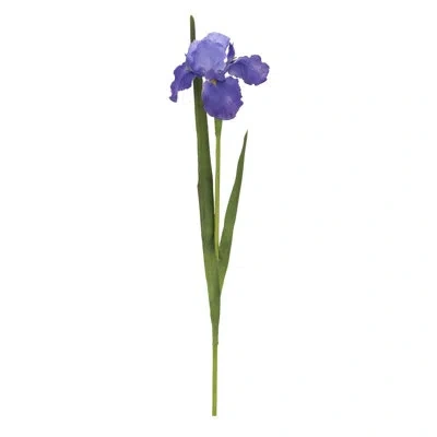 Mark Roberts Iris-31 Inches Box Of 12 In Lavender