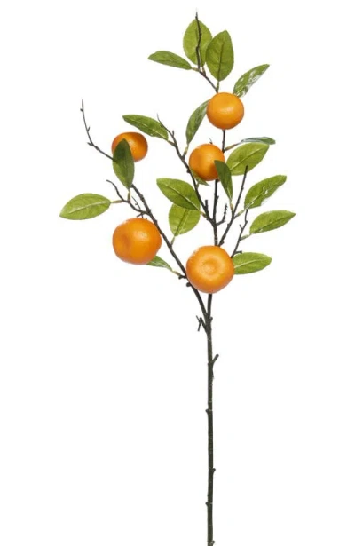 Mark Roberts Orange Spray, Box Of 6 In Multi