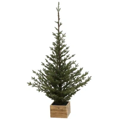 Mark Roberts Pinetree In Box, Large - 71 Inches In Green