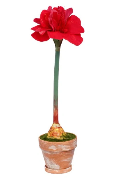 Mark Roberts Potted Amaryllis Flower, Set Of 2 In Red