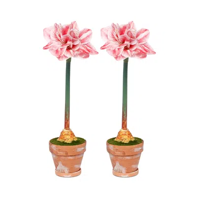 Mark Roberts Potted Amaryllis Flowers, Set Of 2 In Pink