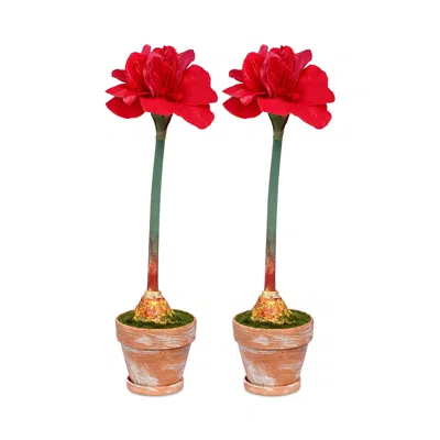 Mark Roberts Potted Amaryllis Flowers, Set Of 2 In Red