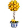 Mark Roberts Potted Lemon Topiary In Multi