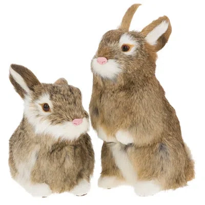 Mark Roberts Rabbit - 6-9 Inches , Set Of 2 In Brown