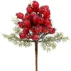 Mark Roberts Red Berries Pick, Set Of 6 In Red