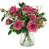 Mark Roberts Roses In Pink
